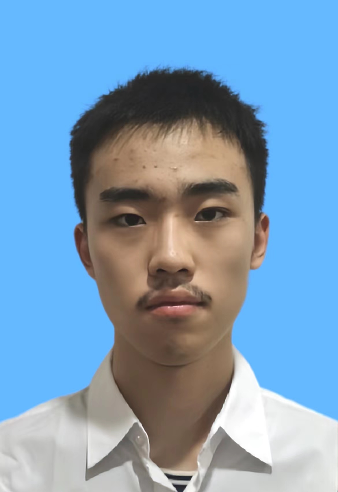 本科5